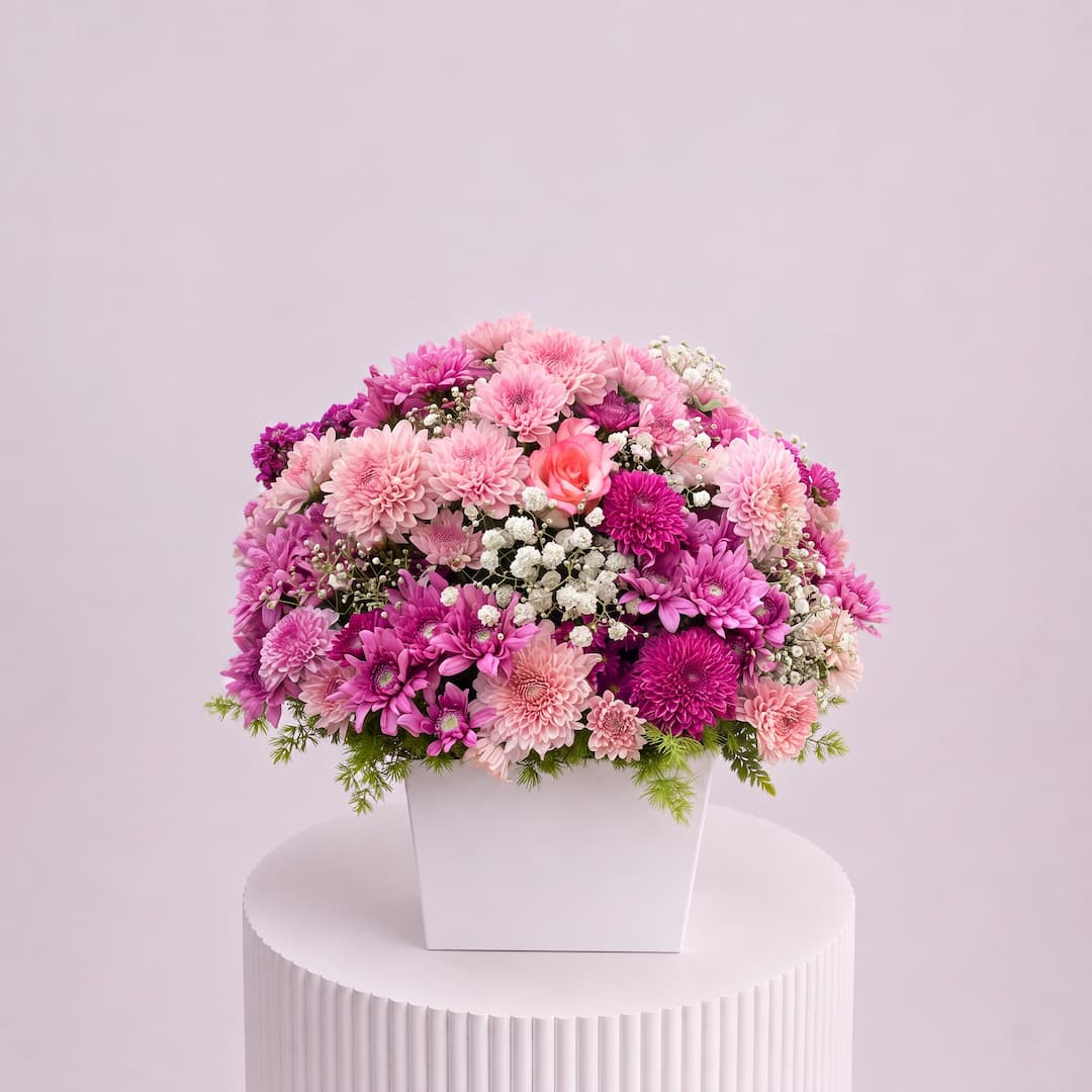 Magenta Chrysanthemum Bloom Pot