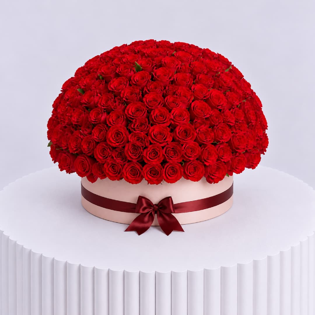 Red Rose Dome Blush Round Box