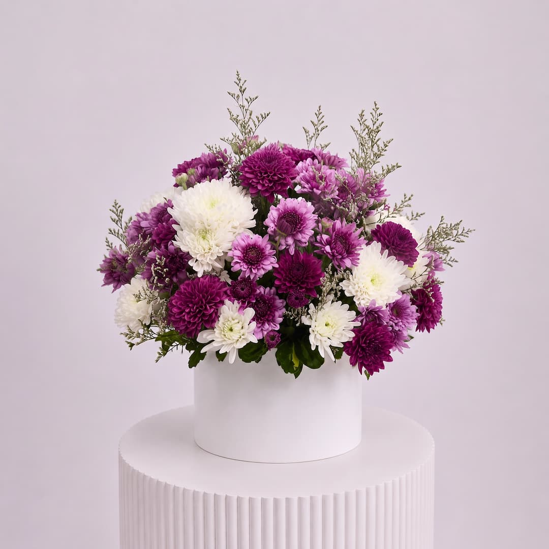 Purple Chrysanthemum Bloom Box